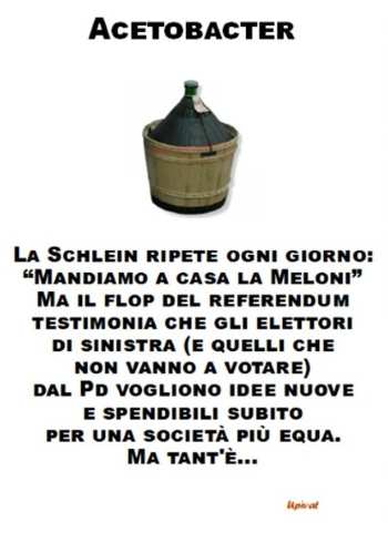 Vignette del giorno rassegna stampa