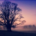 635733444e0cb914bfb79fc276c8cba8