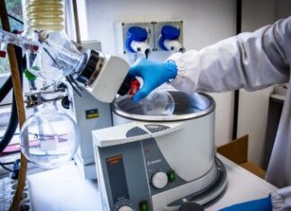 Un cannabinoide non psicoattivo contro il cancro alla prostata