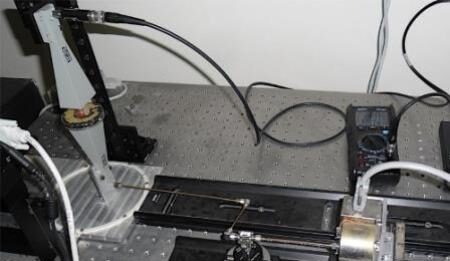 Radiazioni Terahertz e IA aiutano a selezionare le buone nocciole