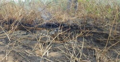 Gli “incendi fantasma” delle torbiere, degrado del suolo ed emissione di gas serra Torbiera in provincia di Ferrara