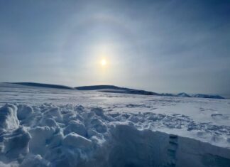 Il Polo Nord sta perdendo la memoria È quanto scoperto da un gruppo di ricerca internazionale coordinato dall’Istituto di scienze polari del Cnr e dall’Università Ca’ Foscari Venezia.
