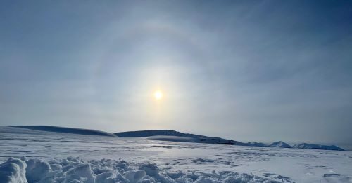 Il Polo Nord sta perdendo la memoria È quanto scoperto da un gruppo di ricerca internazionale coordinato dall’Istituto di scienze polari del Cnr e dall’Università Ca’ Foscari Venezia.