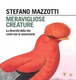 Meravigliose creature Pagina dopo pagina incontreremo una collezione infinita di specie che abitano il nostro pianeta, ma che rischiamo di perdere prima ancora di esser riusciti a conoscerle.