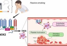 Sigarette elettroniche, il fumo passivo può fare danni alla salute dei bambini Sigarette elettroniche e fumo passivo