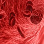 uniroma1_proteina_sangue