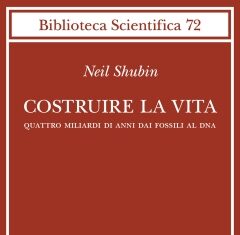 Costruire la vita