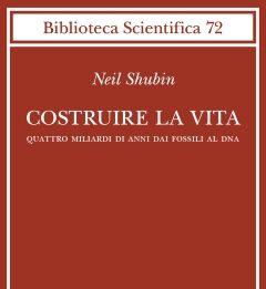 Costruire la vita