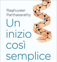 Un inizio così semplice