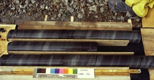 Perdita di ossigeno degli oceani: identificato il punto di non ritorno