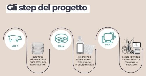 Università di Torino: al via CultMeat, la ricerca per coltivare la carne del futuro