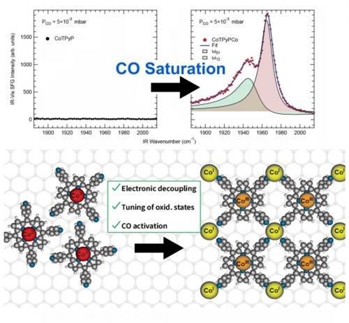 Trasportare energia verde imitando la natura: vitamina B12 e atomi di grafene per nuove applicazioni tecnologiche