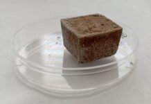 Un PREDIS per gestire in sicurezza i rifiuti radioattivi