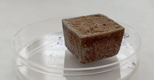 Un PREDIS per gestire in sicurezza i rifiuti radioattivi