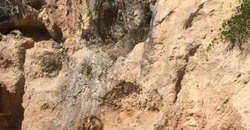 Sud Italia 42-43 mila anni fa: non ci fu contatto tra ultimi Neandertaliani e primi Homo sapiens