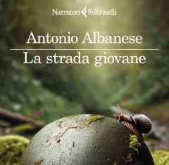 La strada giovane