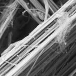 Individuato il meccanismo di tossicità dell’erionite, fibra killer peggiore dell’amianto