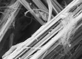 Individuato il meccanismo di tossicità dell’erionite, fibra killer peggiore dell’amianto
