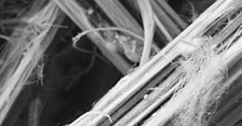 Individuato il meccanismo di tossicità dell’erionite, fibra killer peggiore dell’amianto