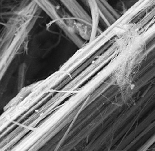 uniroma1_scienze_fibre_di_erionite