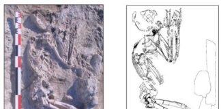 Valle dell’Indo: spostati in avanti di 2.800 anni i primi insediamenti rurali e di allevamento