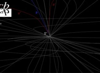 Uno su cento milioni ce l’ha fa: osservato il rarissimo decadimento di un barione che rinforza il Modello Standard