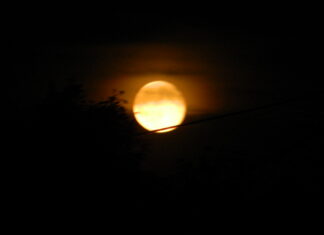 Domenica 7, eclissi totale di Luna