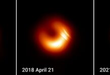 “Stress test” per i modelli teorici prodotti dal buco nero M87*