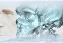 Nuova indagine e rilettura evolutiva sull’aspetto dei Neanderthal