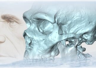 Nuova indagine e rilettura evolutiva sull’aspetto dei Neanderthal