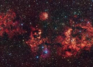 Per Halloween catturato un “pipistrello cosmico”