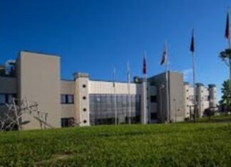 Come rallentare il declino cognitivo: allenare il cervello e aumentare le molecole antinfiammatorie