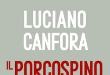 Il porcospino d’acciaio