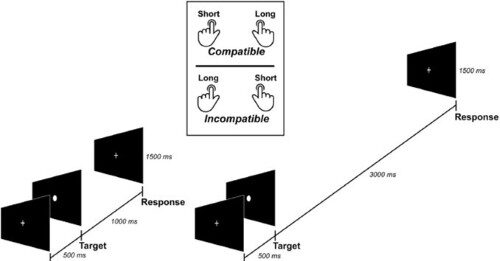 Quando il cervello ricorre allo spazio per aiutare l’elaborazione del tempo