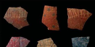 Sulle uova di struzzo le più antiche geometrie dell’umanità