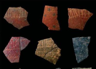 Sulle uova di struzzo le più antiche geometrie dell’umanità