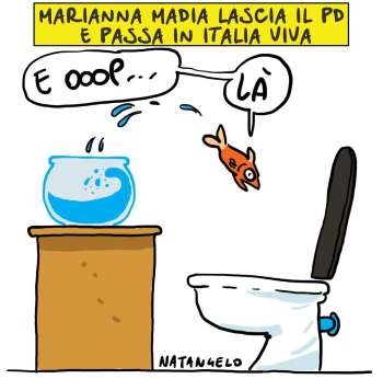 Vignette del giorno rassegna stampa